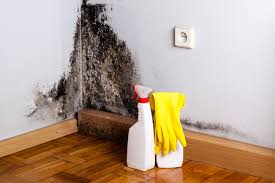 Best Residential Mold Inspection & Testing  in Richwood, LA